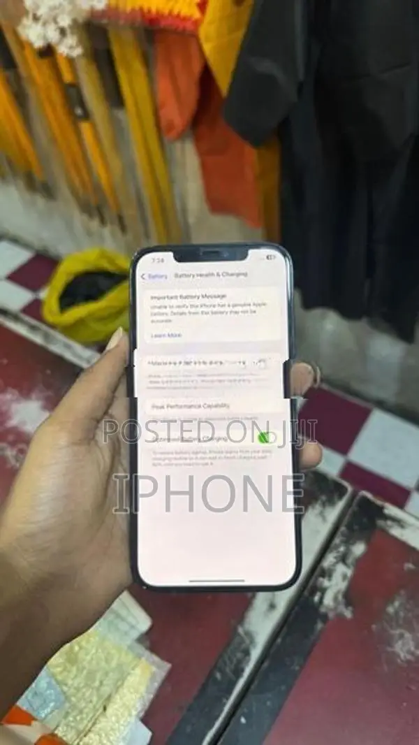 Apple iPhone 12 Pro Max 256 GB (Used)