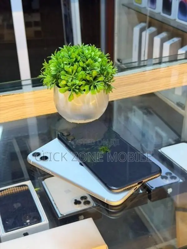 Apple iPhone 11 64GB (Used)