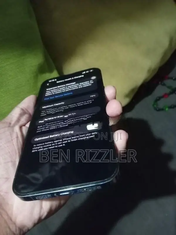 Apple iPhone 13 Pro Max (Used)
