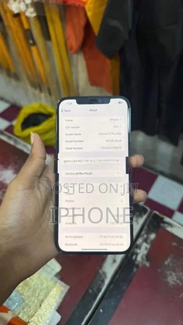 Apple iPhone 12 Pro Max 256 GB (Used)