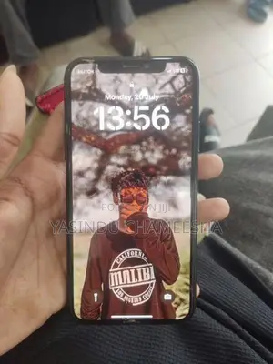 Apple iPhone X (Used)