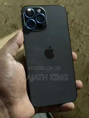 Apple iPhone 13 Pro Max (Used)