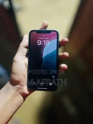 Apple iPhone 11 (Used)