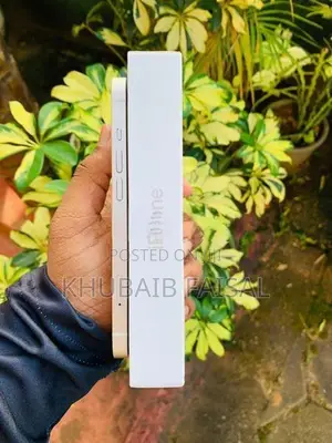 Apple iPhone 13 (Used)