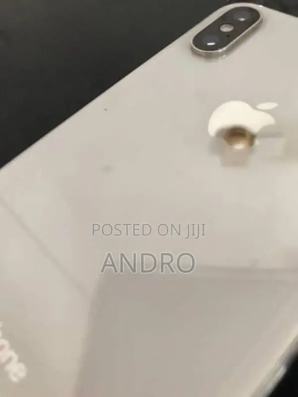 Apple iPhone XS 256GB (Used)