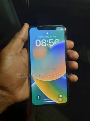 Apple iPhone X 256GB (Used)