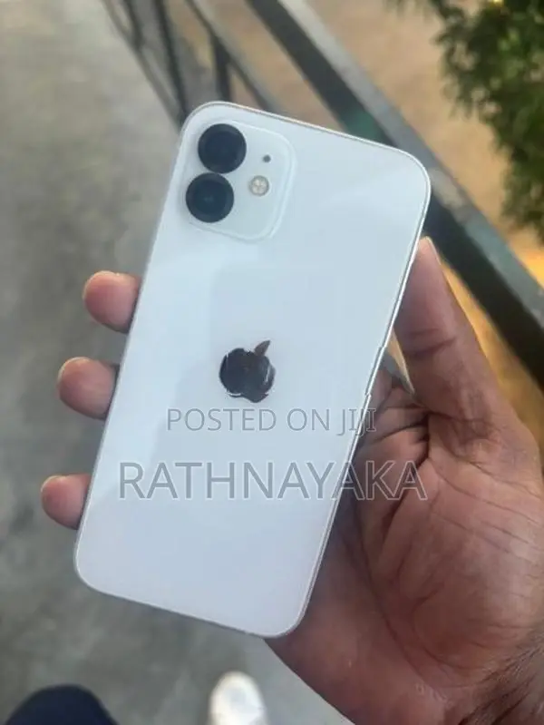 Apple iPhone 12 (Used)