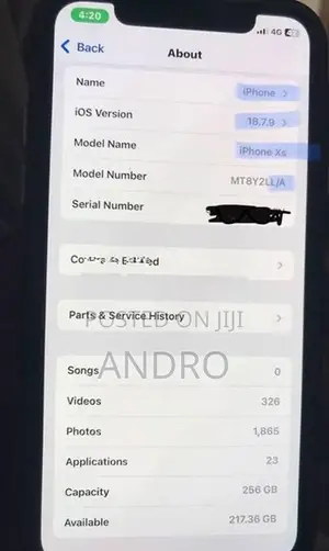 Apple iPhone XS 256GB (Used)