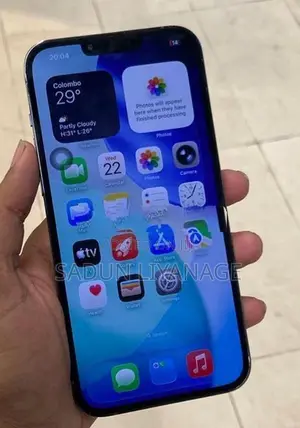 Apple iPhone 13 Pro Max 256GB (Used)