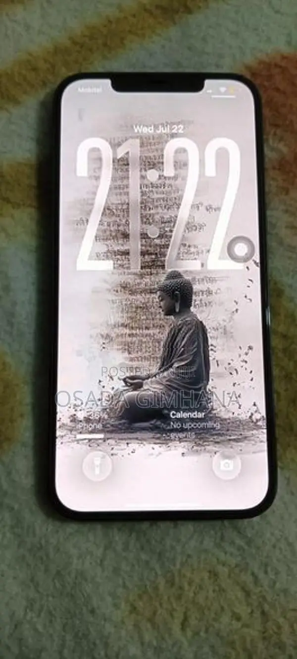 Apple iPhone 12 Pro Max (Used)
