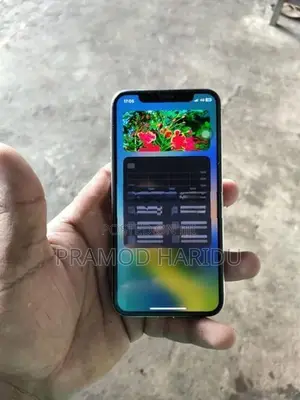 Apple iPhone X (Used)