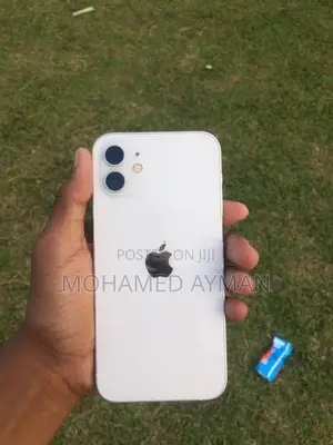 Apple iPhone 12 (Used)