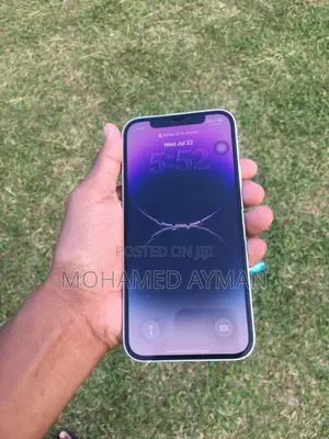 Apple iPhone 12 (Used)