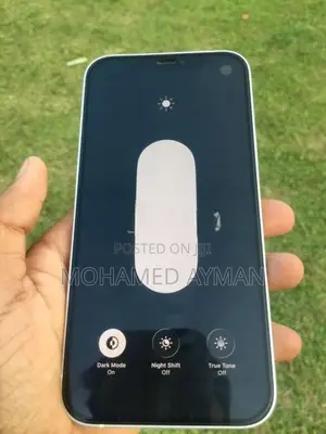 Apple iPhone 12 (Used)
