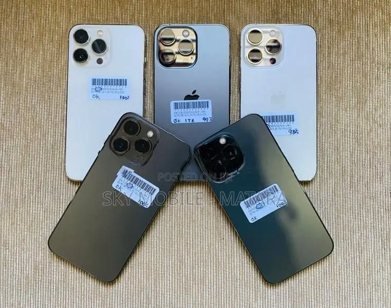 Apple iPhone 13 Pro 256GB (Used)