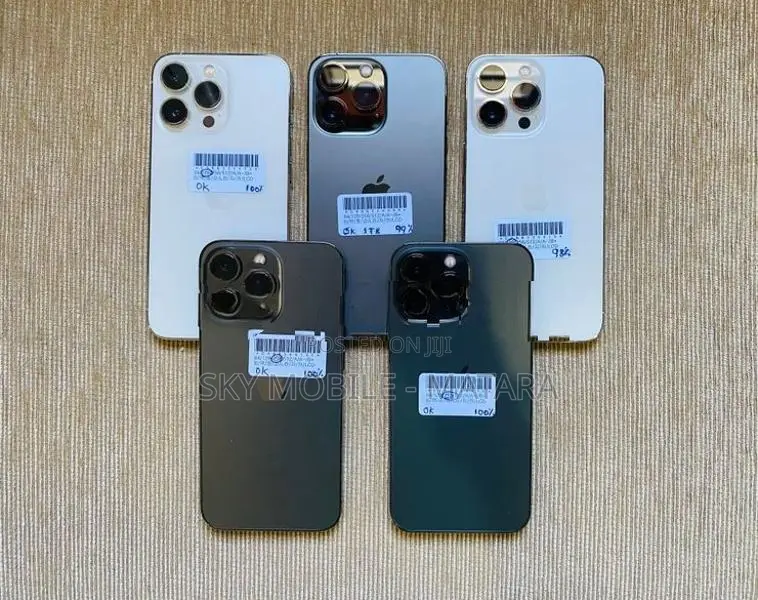 Apple iPhone 13 Pro 256GB (Used)