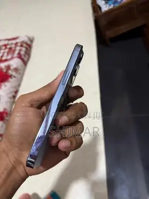 Apple iPhone 13 Pro (Used)