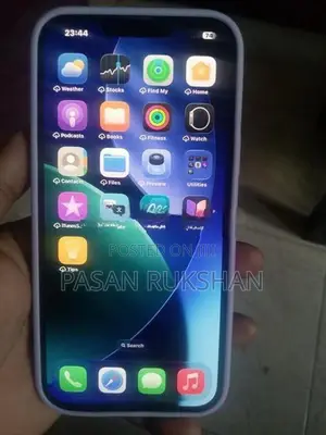 Apple iPhone 13 Pro Max (Used)