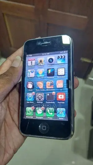 Apple iPhone 3GS A1303B (Used)