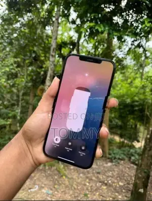 Apple iPhone 12 Pro Max 128Gb (Used)