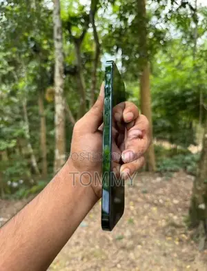 Apple iPhone 12 Pro Max 128Gb (Used)
