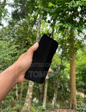 Apple iPhone 12 Pro Max 128Gb (Used)
