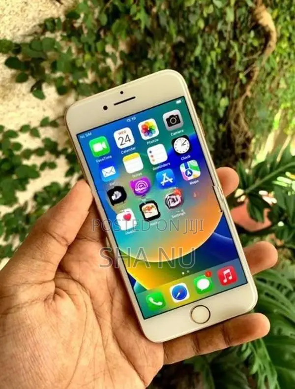 Apple iPhone 8 (Used)