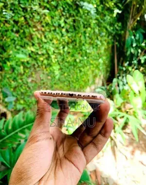 Apple iPhone 8 (Used)