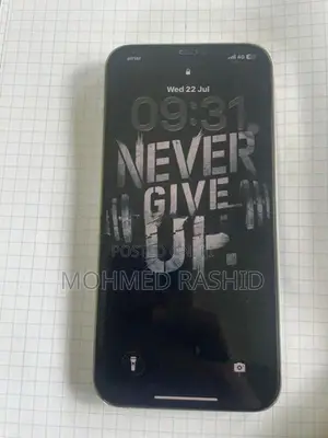 Apple iPhone 12 Pro Max (Used)
