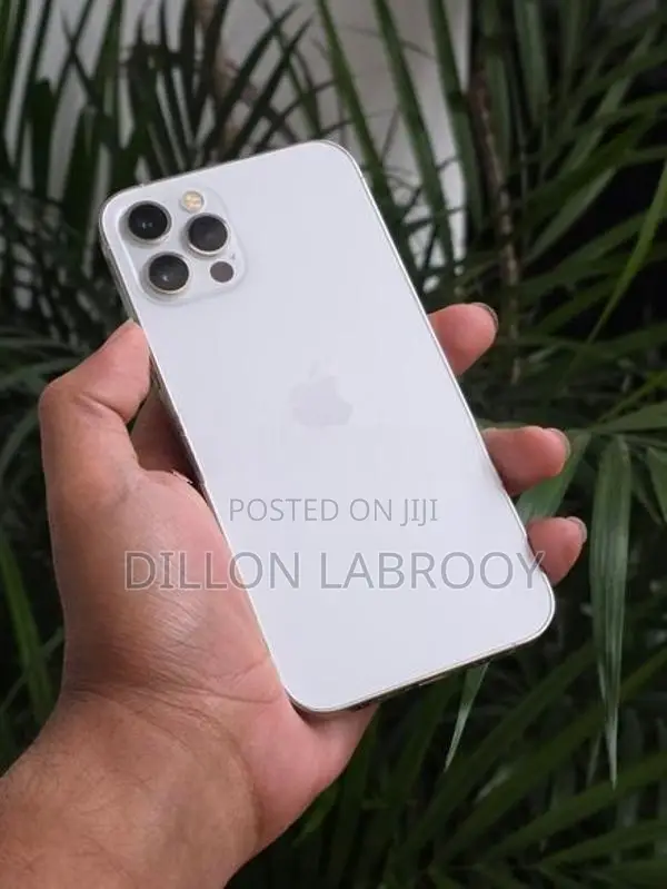 Apple iPhone 12 Pro 256GB (Used)