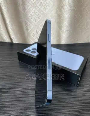 Apple iPhone 13 Pro Max LL/A Version (Used)