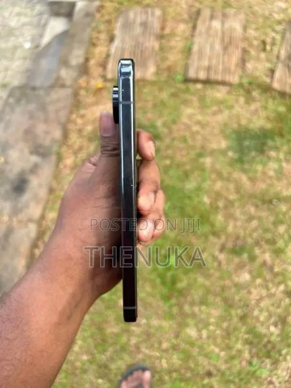 Google Pixel 9 Pro XL (Used)