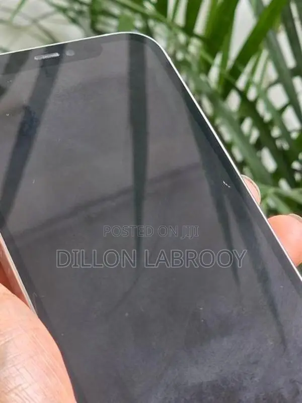 Apple iPhone 12 Pro 256GB (Used)