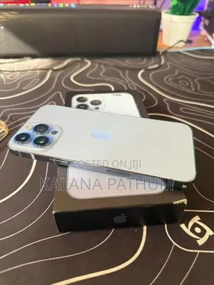 Apple iPhone 13 Pro Max 256GB (Used)