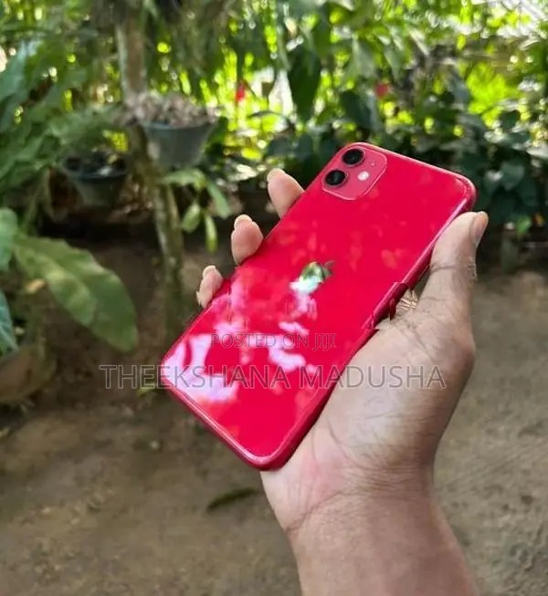 Apple iPhone 11 MOBILE (Used)