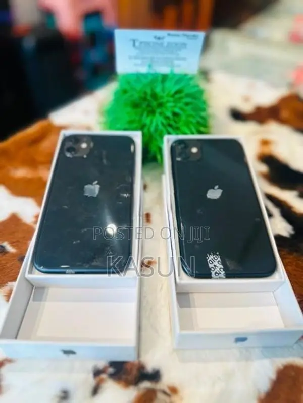 Apple iPhone 11 (Used)