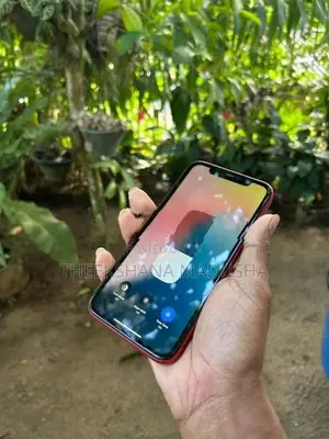 Apple iPhone 11 MOBILE (Used)