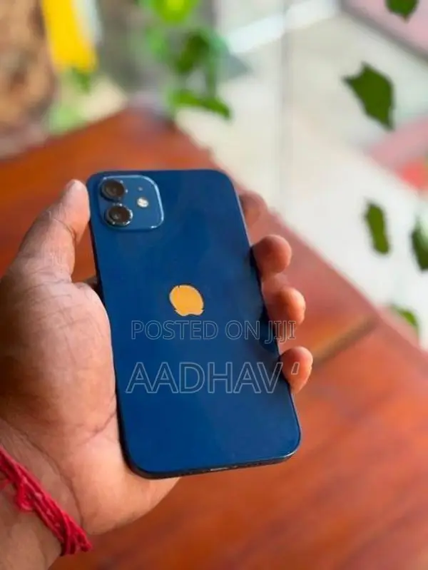 Apple iPhone 12 (Used)