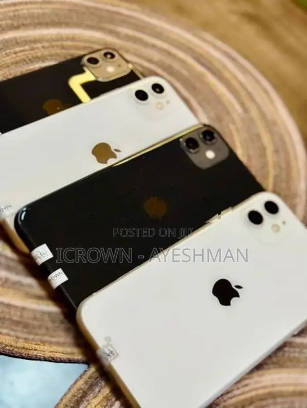 Apple iPhone 11 256GB (Used)