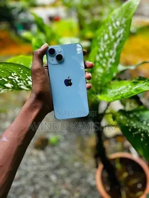 Apple iPhone 14 (Used)