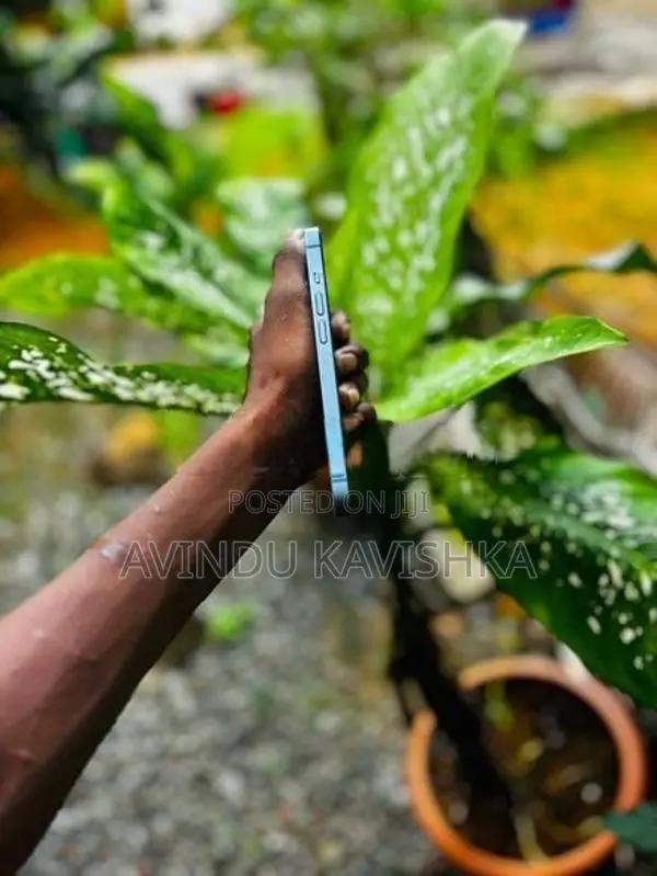 Apple iPhone 14 (Used)