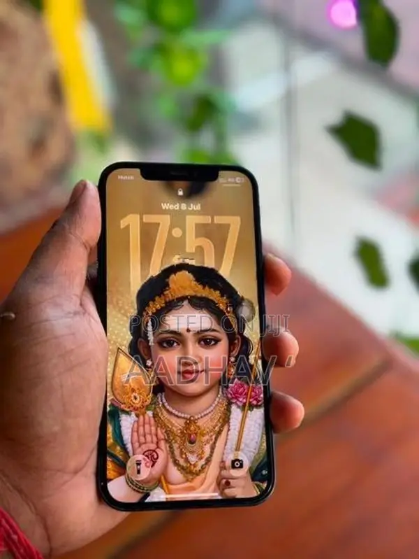 Apple iPhone 12 (Used)