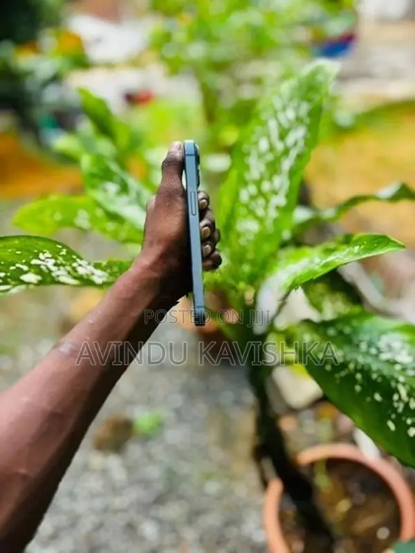Apple iPhone 14 (Used)