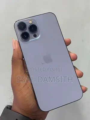 Apple iPhone 13 Pro Max (Used)