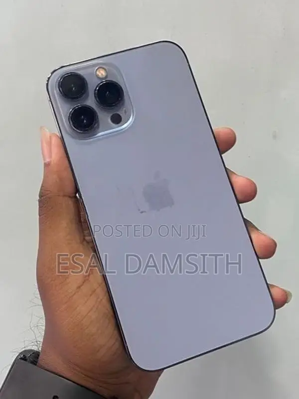 Apple iPhone 13 Pro Max (Used)