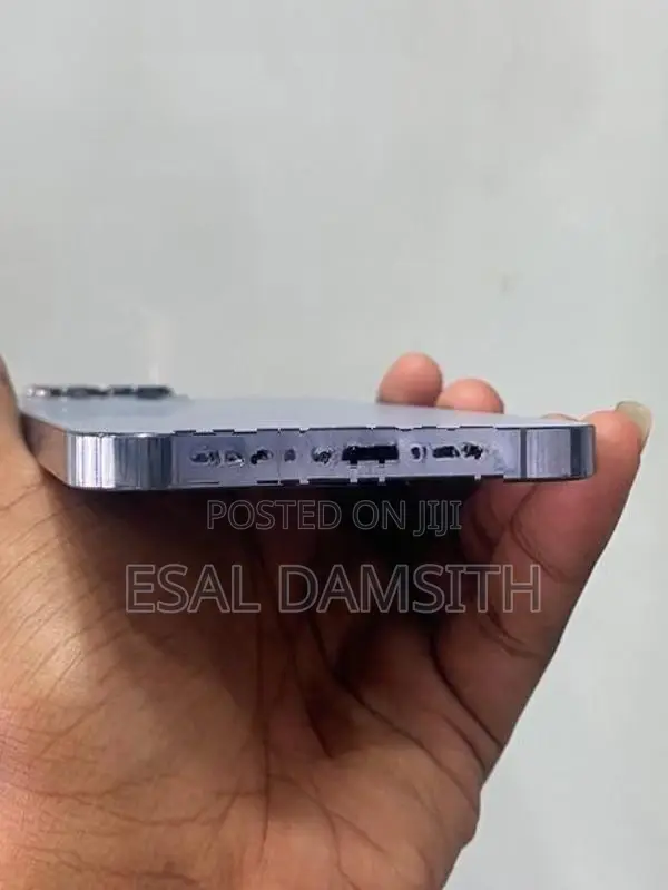Apple iPhone 13 Pro Max (Used)