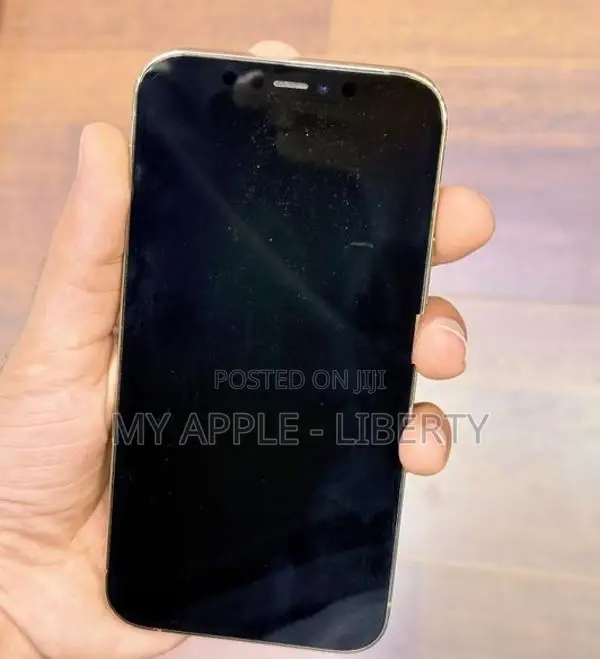 Apple iPhone 12 Pro 256gb (Used)