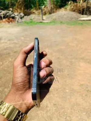 Apple iPhone 12 Pro 256GB (Used)