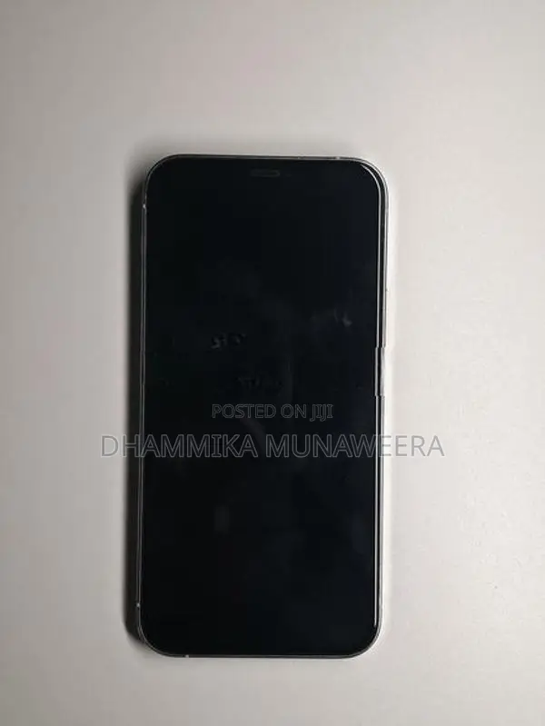 Apple iPhone 12 Pro (Used)