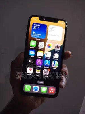 Apple iPhone XS 256 Gb (Used)